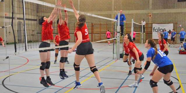 volleybal kontich