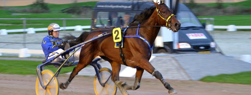 ploegen sulky race - Paardenkoersen