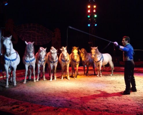 circus